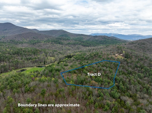 TRACTD Harpers Creek Rd, Ellijay, GA 30540