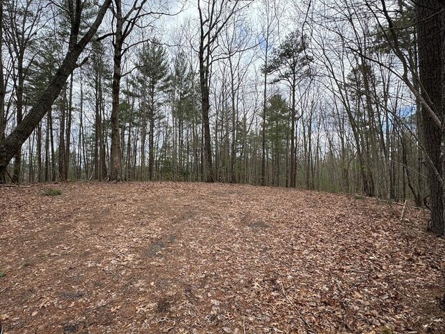 TRACTD Harpers Creek Rd, Ellijay, GA 30540
