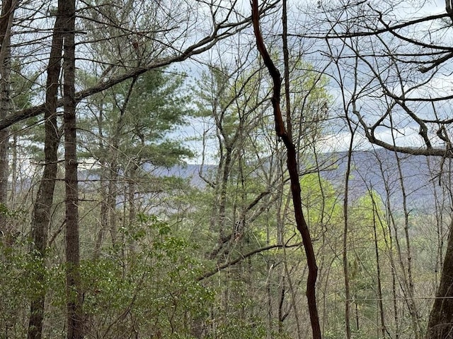TRACTD Harpers Creek Rd, Ellijay, GA 30540