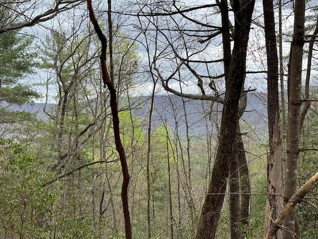 TRACTD Harpers Creek Rd, Ellijay, GA 30540