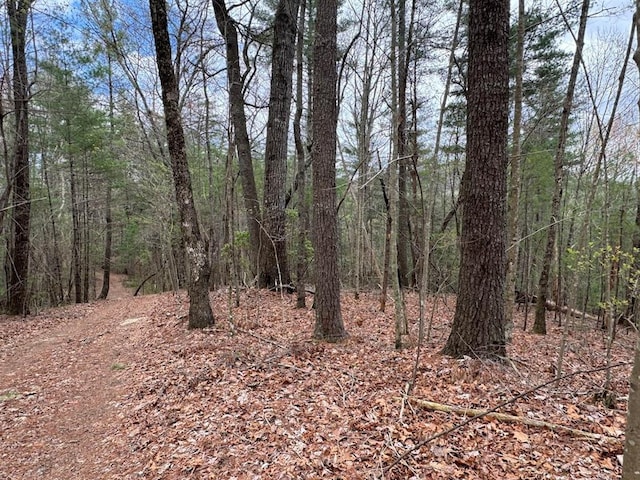 TRACTD Harpers Creek Rd, Ellijay, GA 30540