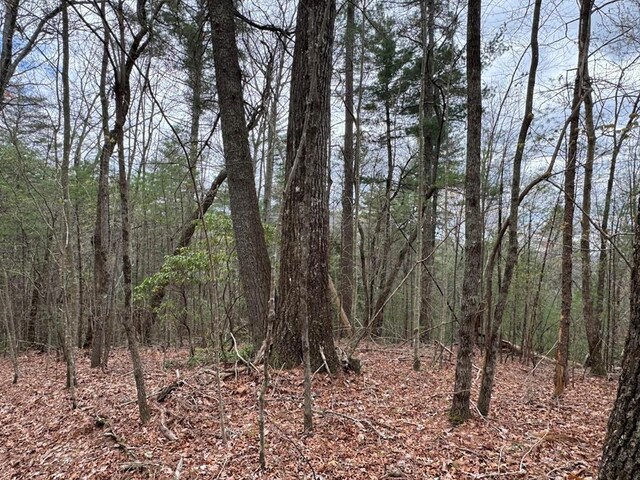TRACTD Harpers Creek Rd, Ellijay, GA 30540