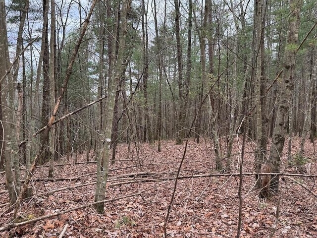 TRACTD Harpers Creek Rd, Ellijay, GA 30540