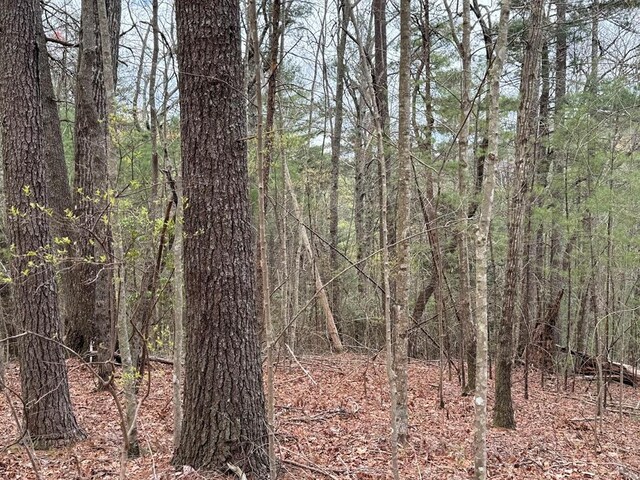 TRACTD Harpers Creek Rd, Ellijay, GA 30540