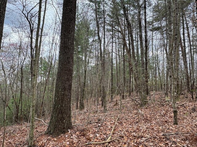TRACTD Harpers Creek Rd, Ellijay, GA 30540