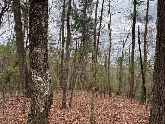 TRACTD Harpers Creek Rd, Ellijay, GA 30540