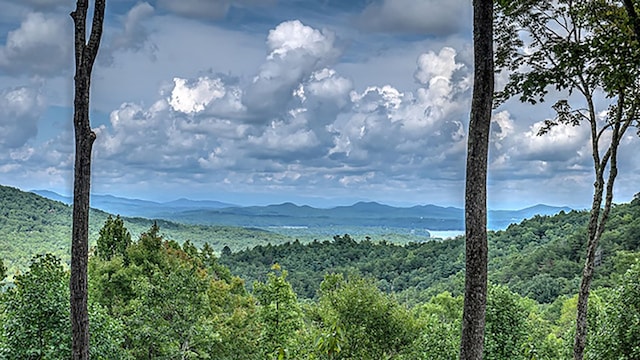 property view of mountains