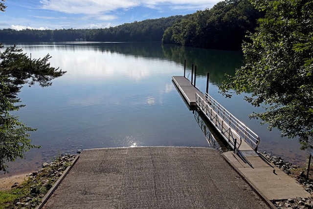 dock area with a water view and a view of trees