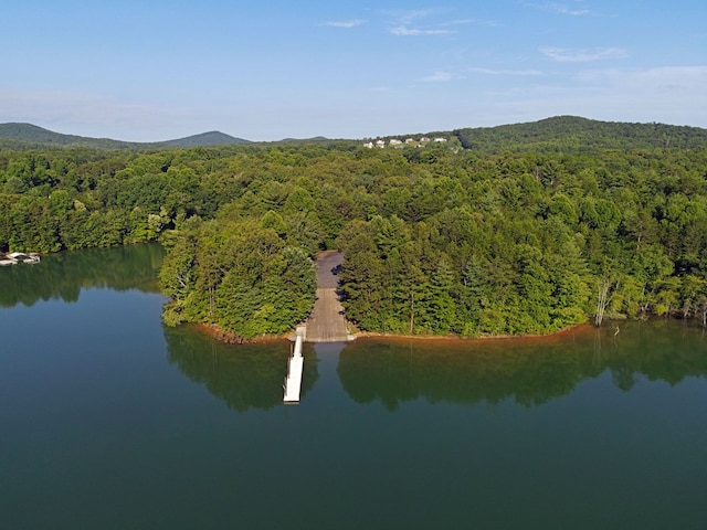 drone / aerial view with a water and mountain view and a view of trees