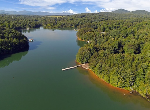 drone / aerial view with a view of trees and a water and mountain view