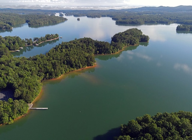 birds eye view of property with a water view and a view of trees