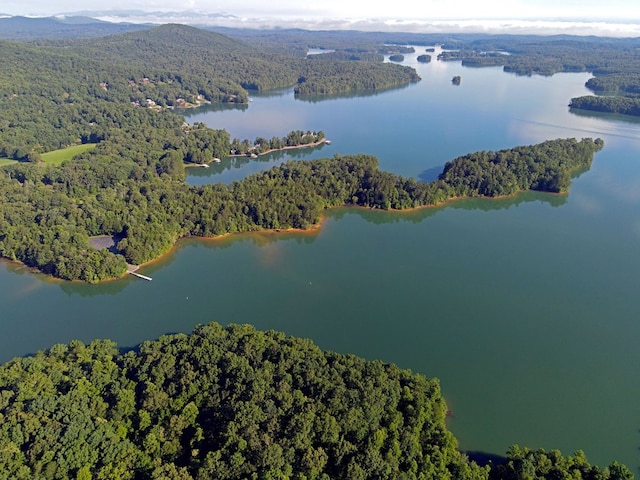 drone / aerial view with a water view and a view of trees