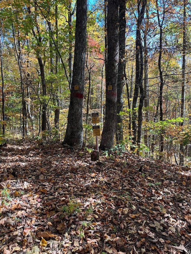 Listing photo 3 for LOT9 Black Bear Trl, Hiawassee GA 30546