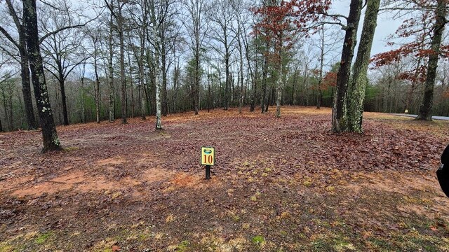 Listing photo 2 for LOT10 Arbor Creek Trl, Mineral Bluff GA 30559