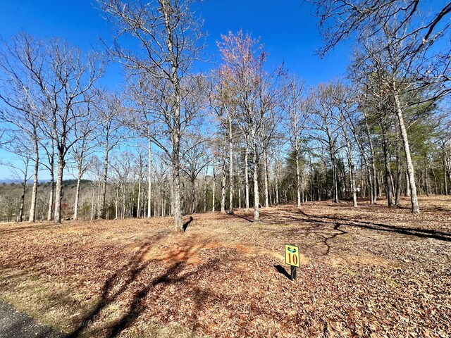 Listing photo 3 for LOT10 Arbor Creek Trl, Mineral Bluff GA 30559