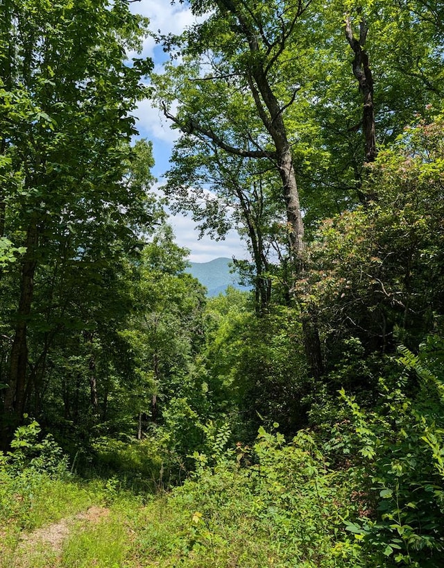 30.91AC Hwy 64 E, Hayesville, NC 28904
