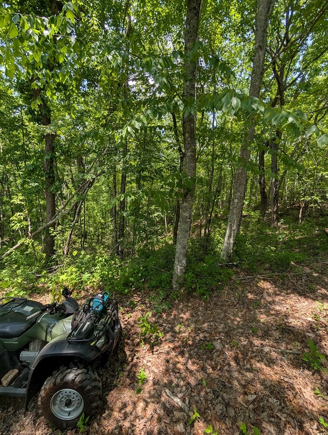 30.91AC Hwy 64 E, Hayesville, NC 28904