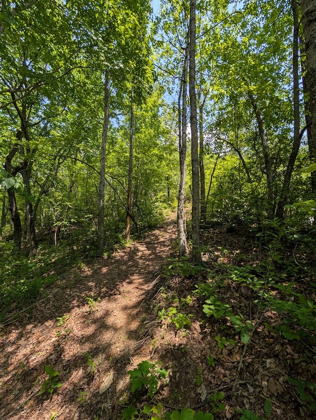 30.91AC Hwy 64 E, Hayesville, NC 28904