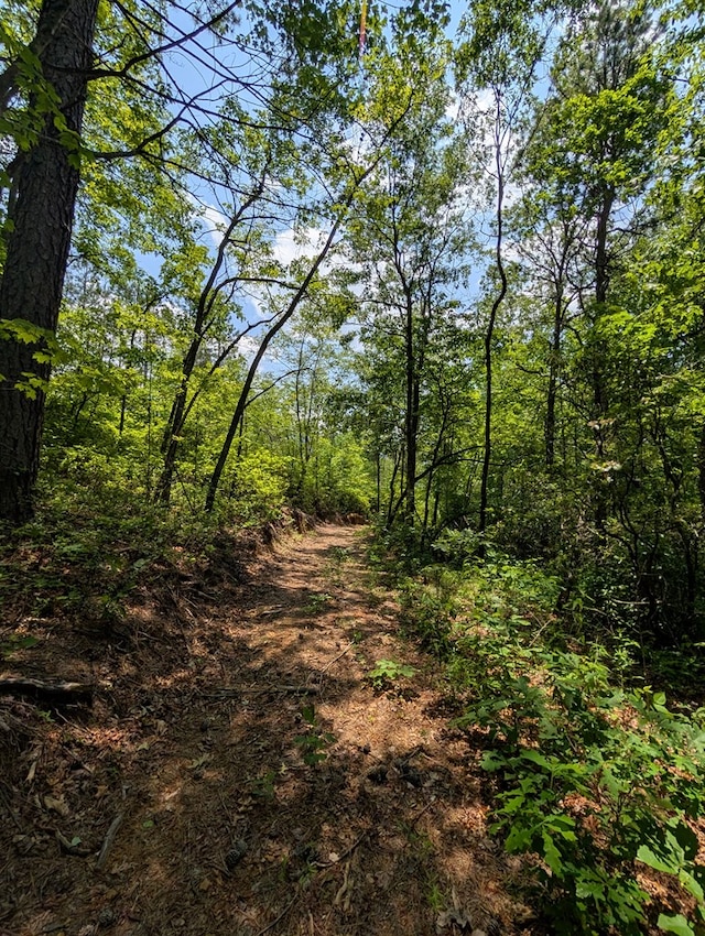 30.91AC Hwy 64 E, Hayesville, NC 28904