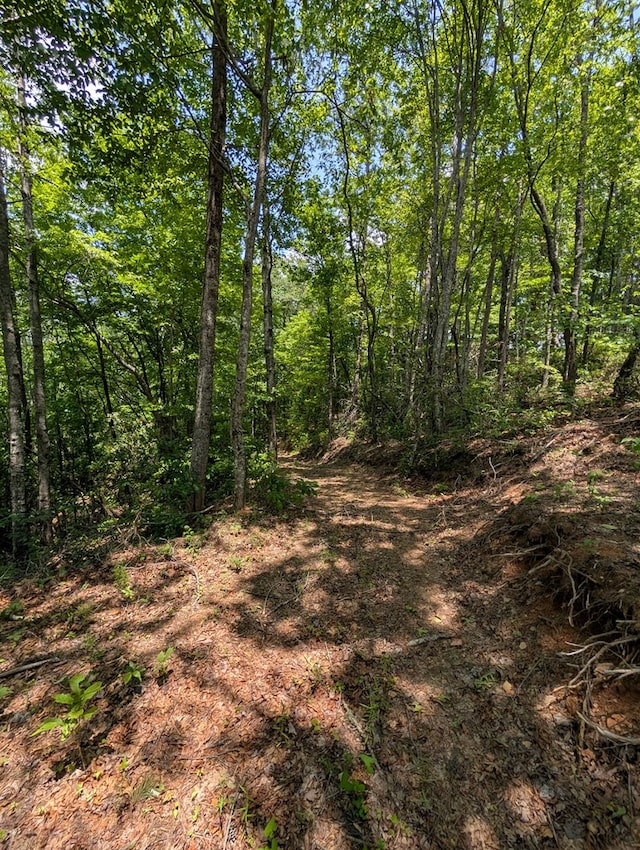 30.91AC Hwy 64 E, Hayesville, NC 28904