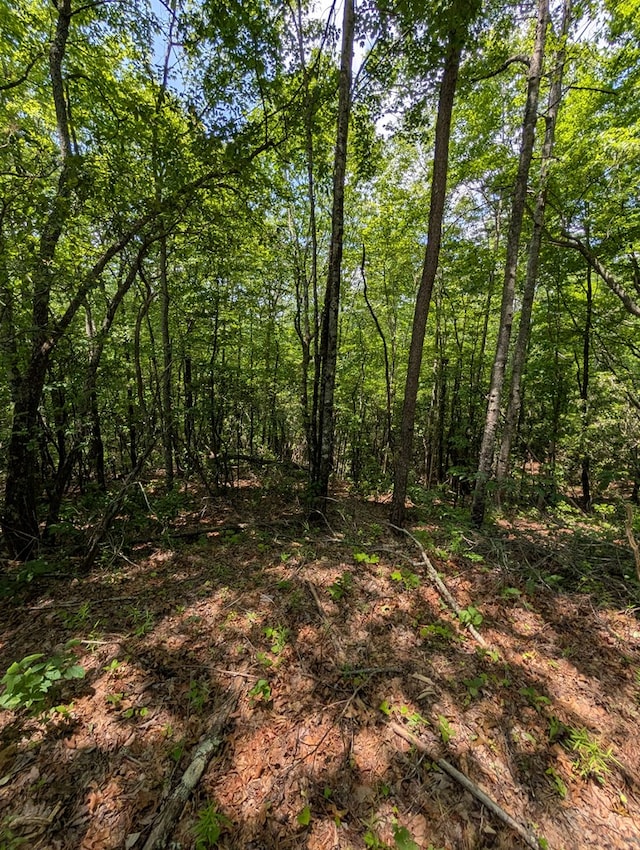 30.91AC Hwy 64 E, Hayesville, NC 28904