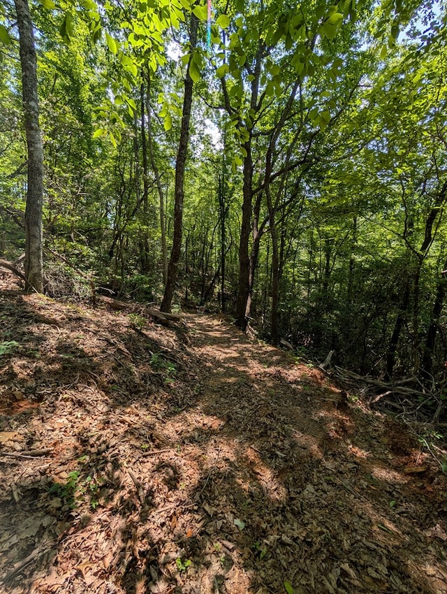 30.91AC Hwy 64 E, Hayesville, NC 28904