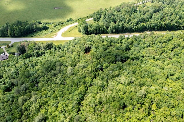 30.91AC Hwy 64 E, Hayesville, NC 28904