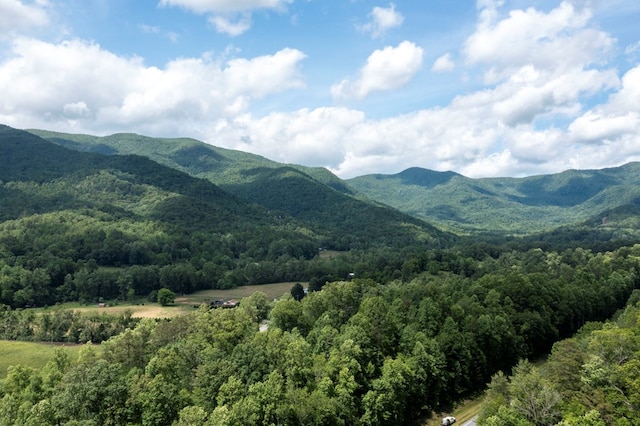 30.91AC Hwy 64 E, Hayesville, NC 28904