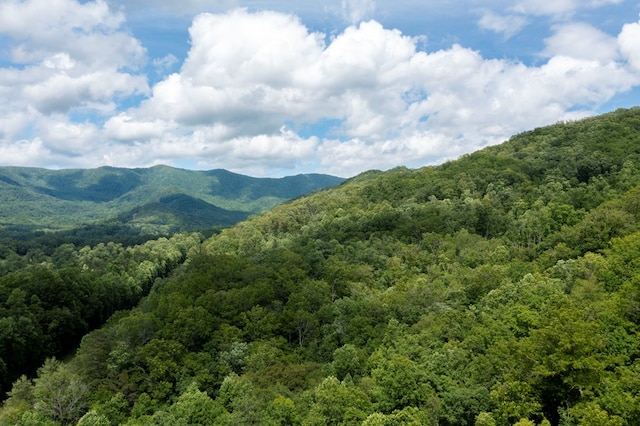 30.91AC Hwy 64 E, Hayesville, NC 28904