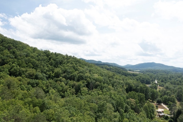 30.91AC Hwy 64 E, Hayesville, NC 28904