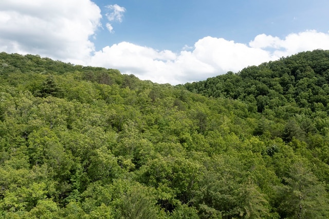 30.91AC Hwy 64 E, Hayesville, NC 28904