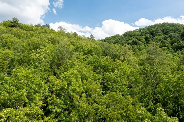 30.91AC Hwy 64 E, Hayesville, NC 28904