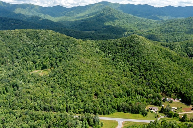30.91AC Hwy 64 E, Hayesville, NC 28904