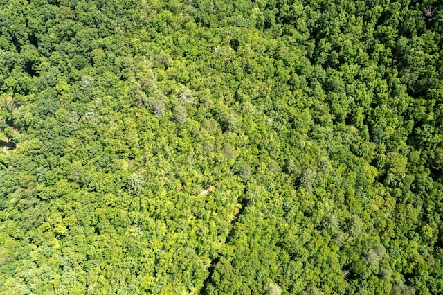 30.91AC Hwy 64 E, Hayesville, NC 28904