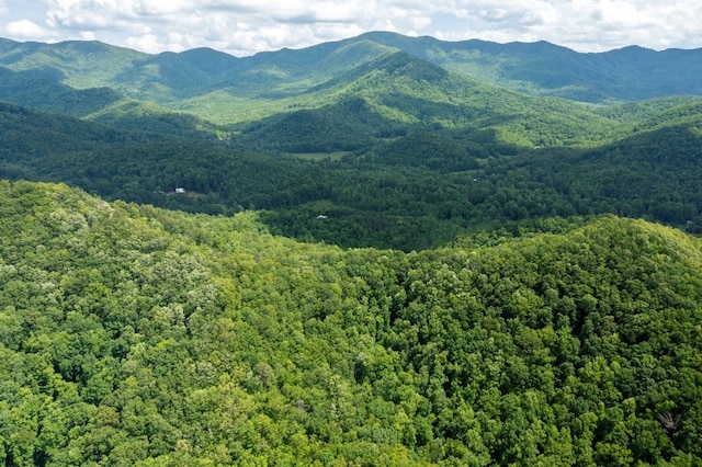30.91AC Hwy 64 E, Hayesville, NC 28904
