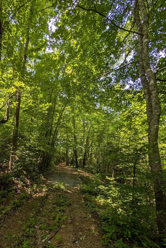 30.91AC Hwy 64 E, Hayesville, NC 28904