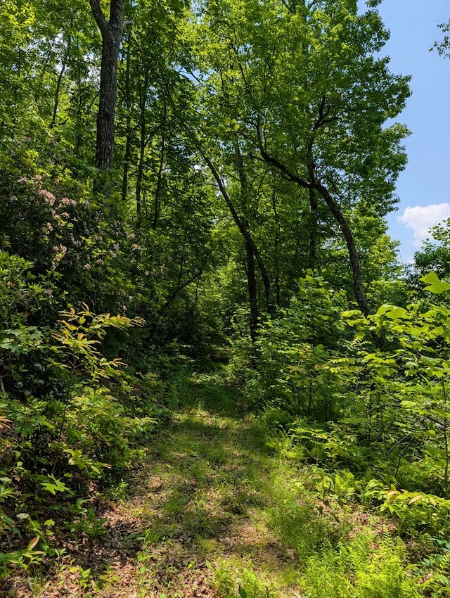 30.91AC Hwy 64 E, Hayesville, NC 28904