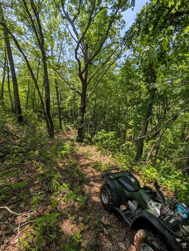 30.91AC Hwy 64 E, Hayesville, NC 28904