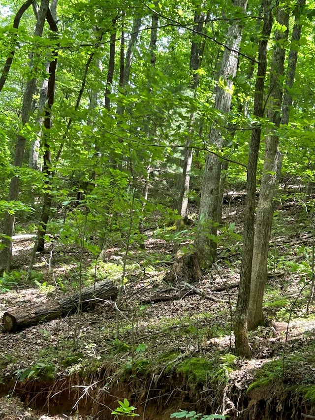 view of landscape with a view of trees