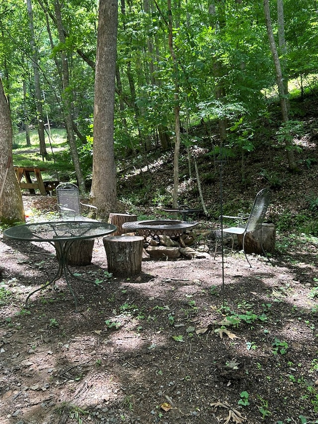 view of yard with an outdoor fire pit