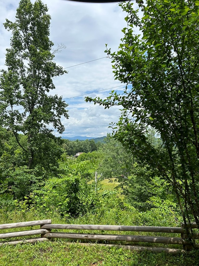 view of mountain feature with a view of trees