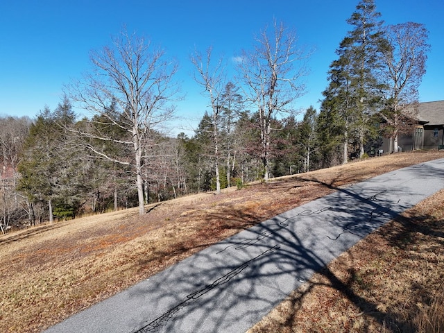 Listing photo 3 for LOT52 Madeline Way, Blairsville GA 30512