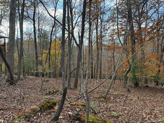 Listing photo 2 for LOT99 Acella Ct, Ellijay GA 30540