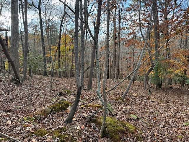 Listing photo 3 for LOT99 Acella Ct, Ellijay GA 30540