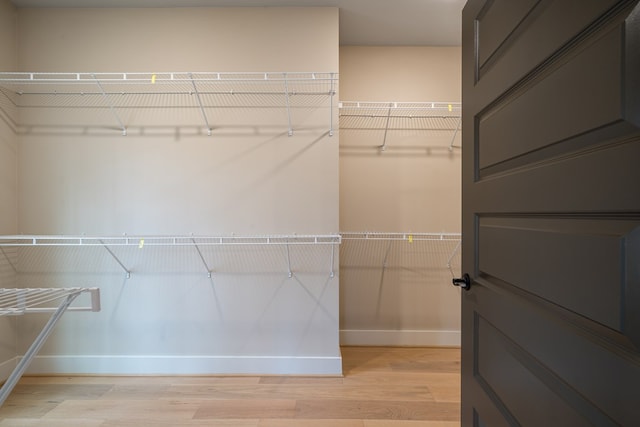 spacious closet featuring light wood-style floors
