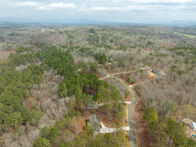 bird's eye view with a forest view
