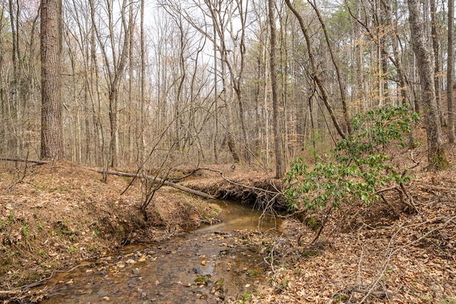 view of nature