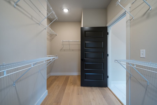 spacious closet with light wood-style flooring