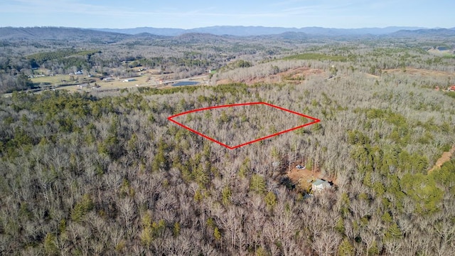 5.96AC Old Ridge Rd, Mineral Bluff GA, 30513 land for sale