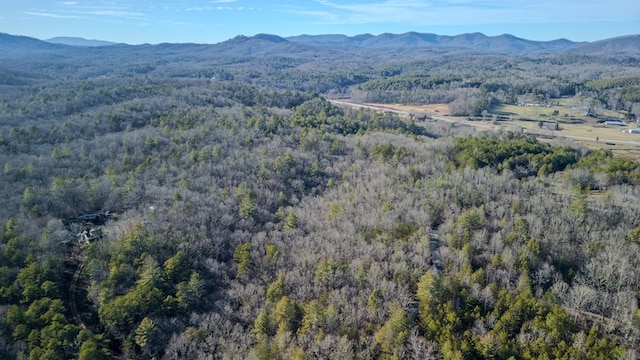 Listing photo 3 for 5.96AC Old Ridge Rd, Mineral Bluff GA 30513